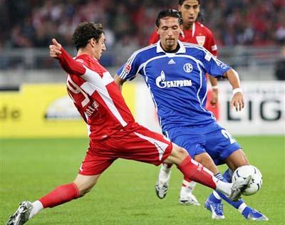 谈中表示 谈中表示